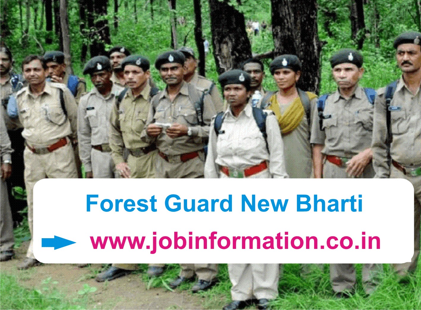 Forest Guard Bharti 2022 Apply Online