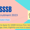 DSSSB Recruitment 2023 Online Apply for 16586 Various Post, Salary, Age, Date, Eligibility and How to apply