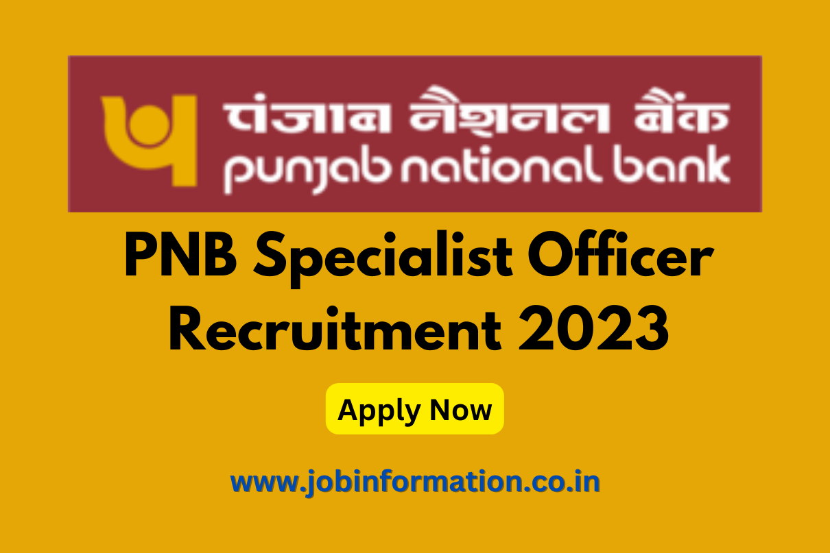 PNB Specialist Officer Recruitment 2023 Apply Online Post Check, Syllabus, Exam Date and How to Apply at @pnbindia.in