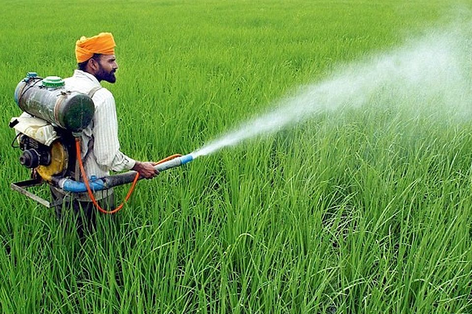 Agriculture Department Recruitment 2023 Online Apply for 2434 Posts, Age, Salary, Job Location, Date, Eligibility and How to Apply