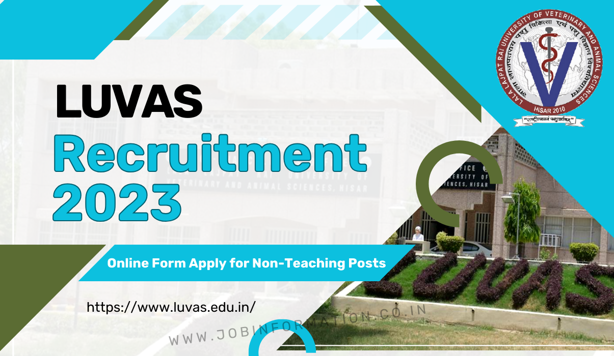 LUVAS Recruitment 2023 Notice PDF Link: Online Apply for Various Non-Teaching, Big News