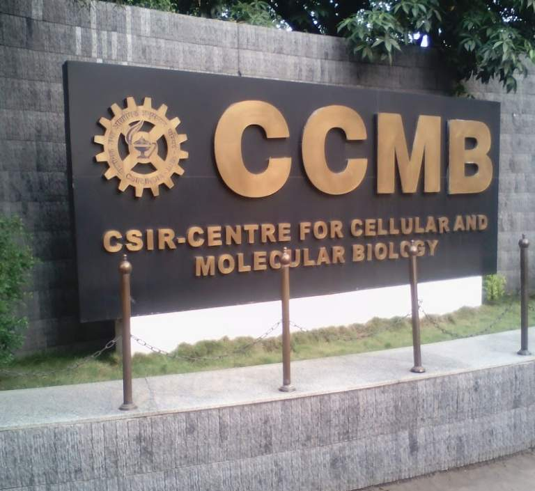 CSIR CCMB Recruitment 2024 Notice, Various 69 Vacancies, Apply Online for Eligibility Criteria, PDF Download