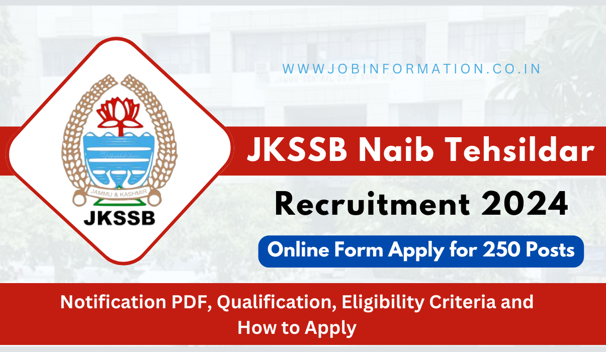 Naib Tehsildar Recruitment 2024 PDF: Online Form for 250 Posts, Qualification, Eligibility Criteria and How to Apply