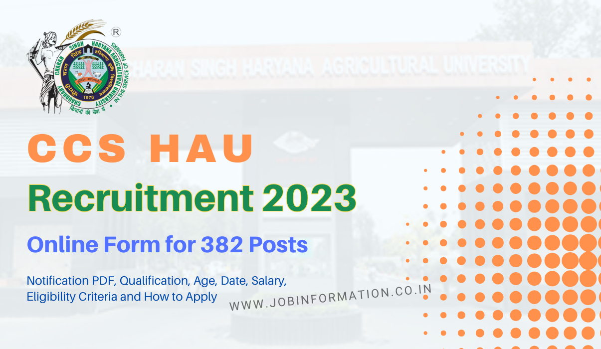 CCS HAU Recruitment 2024, Online Form for 382 Posts, Qualification, Age, Date, Salary, Eligibility Criteria and How to Apply