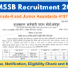 RSMSSB LDC Recruitment 2024 PDF: Notification Out for 4197 Vacancies, Apply Online, Eligibility Check and More Details
