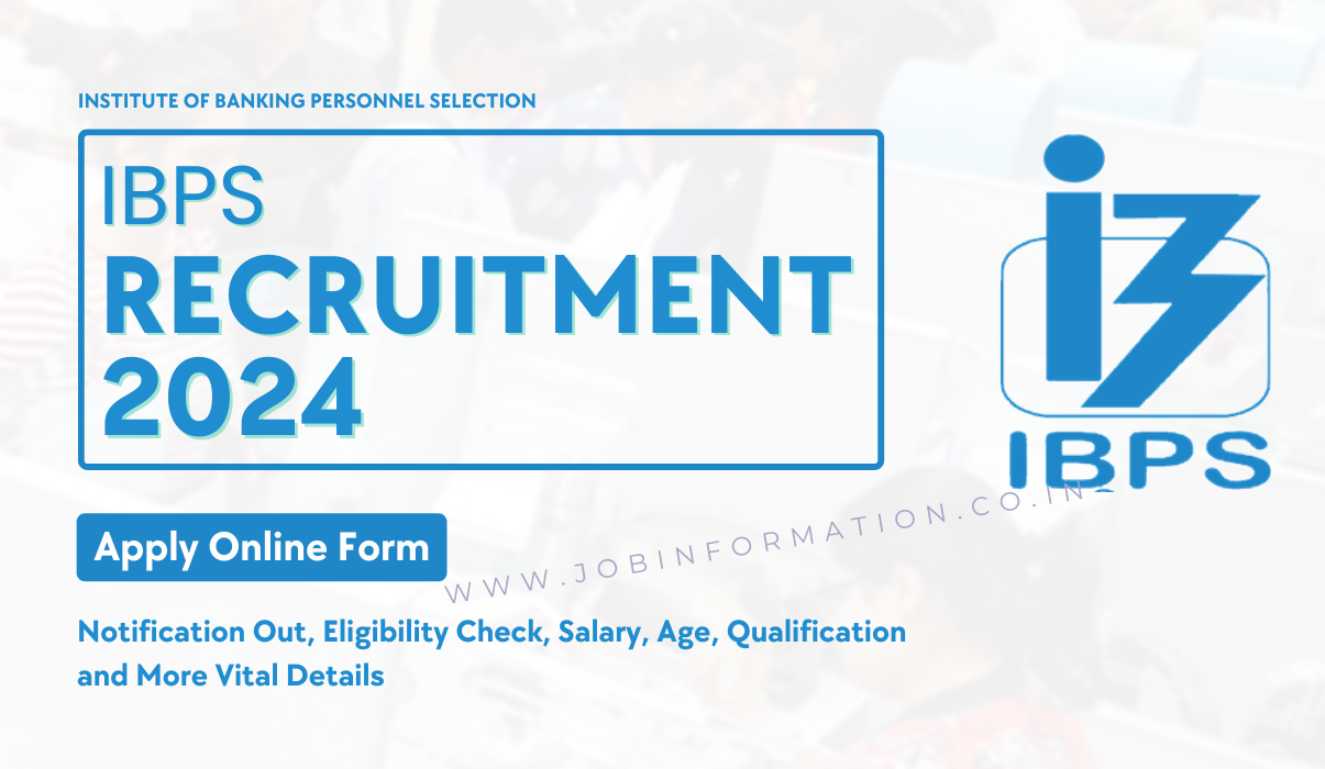 IBPS Recruitment 2024 PDF: Notification Out for Various Posts, Eligibility Check, Selection Process and How to Apply