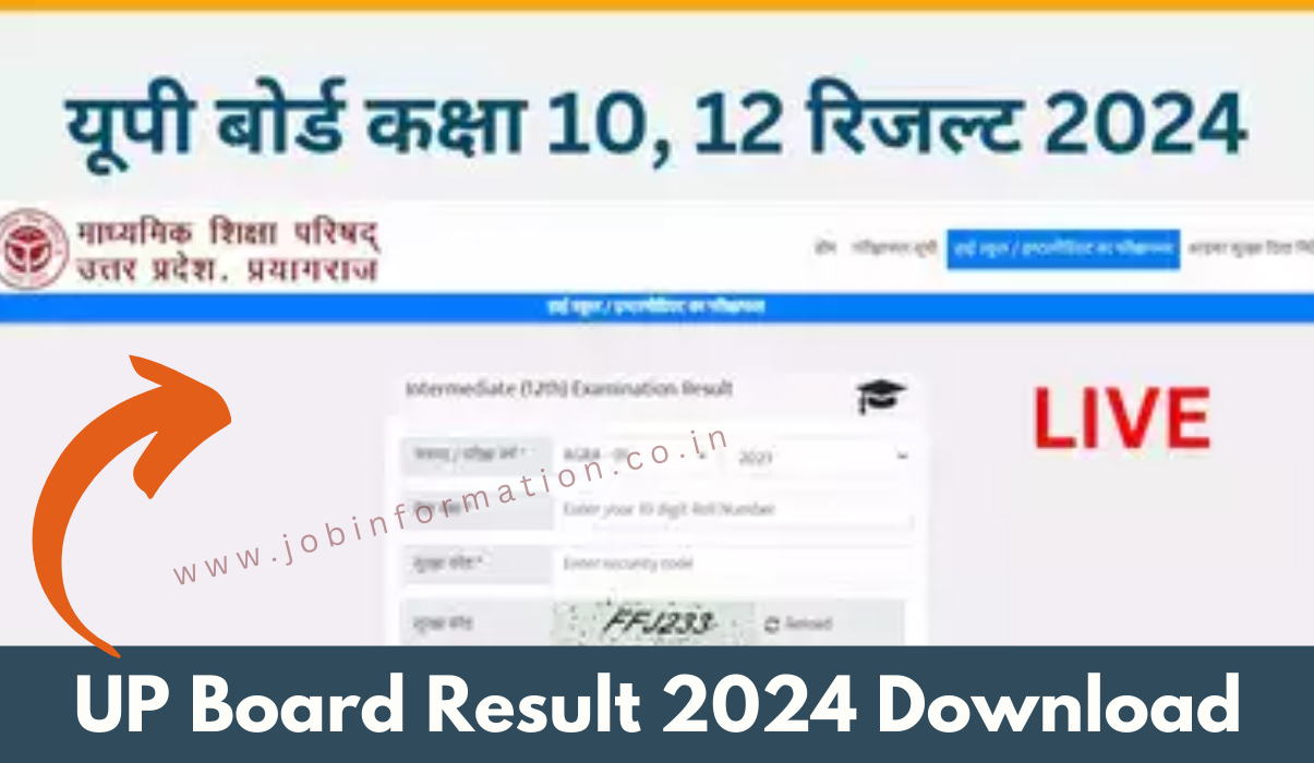 UP Board Result 2024 Class 10 and 12 Results Download, Direct Link Here