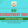 BSF Group A B C Recruitment 2024 Out: Online Form for Paramedical, Workshop, and Veterinary Staff and Other Details
