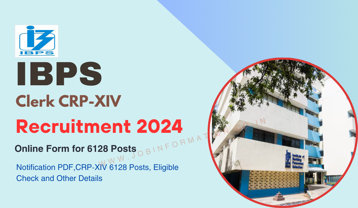 IBPS Clerk Recruitment 2024 OUT: Apply Online CRP-XIV 6128 Posts ...